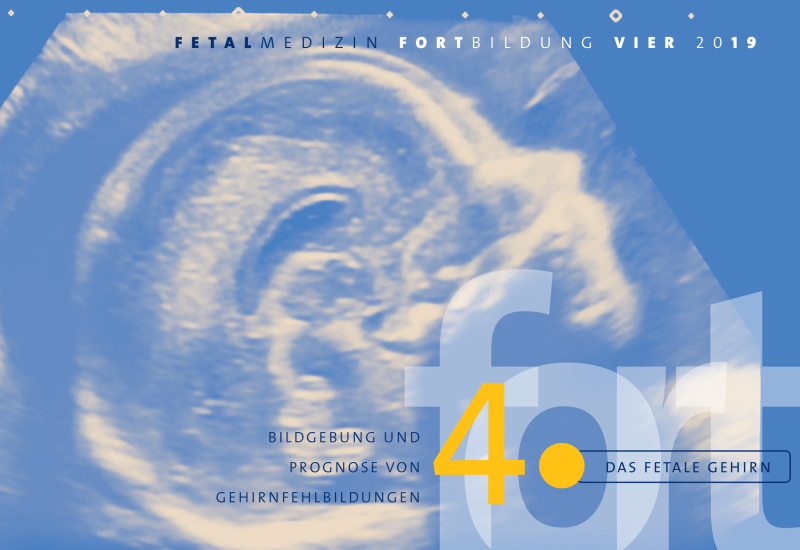 In blau getauchtes Ultraschall-Bild eines ungeborenen Babys mit Textinformation im Vordergrund.